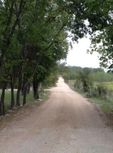 country road 1